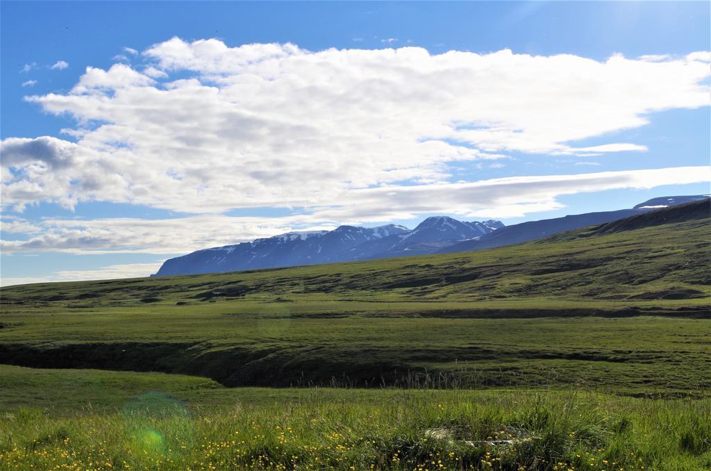 Sireksstadir Farm Holiday Vopnafjorthur Экстерьер фото